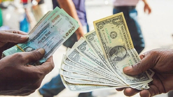 আগস্টের ১৭ দিনে রেমিট্যান্স এলো সাড়ে ১৯ হাজার কোটি টাকা