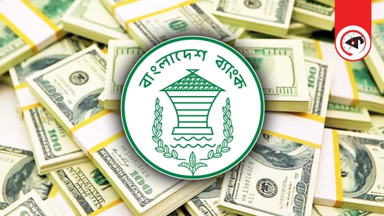 রিজার্ভ বেড়ে ৩০.৮৫ বিলিয়ন ডলারে