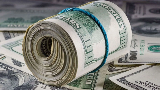 রিজার্ভ ফের ৩১ বিলিয়ন ডলার ছাড়াল