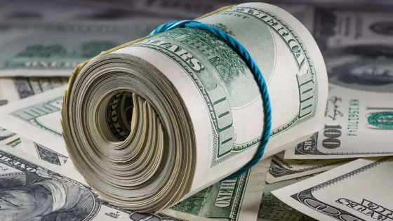 ২১ দিনে ২৪ হাজার ৭১৮ কোটি টাকা পাঠালেন প্রবাসীরা