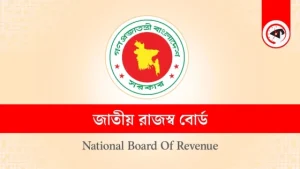 প্রবাসীদের অনলাইন রিটার্ন দাখিল আরও সহজ করল এনবিআর