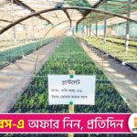 বীজআলু উৎপাদনে বিপ্লব ঘটাল ডোমারের খামার