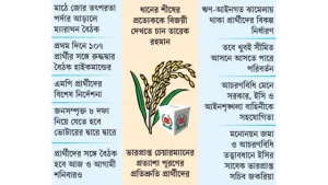 তারেক রহমান ফেরার আগেই মাঠ গোছাতে চায় বিএনপি